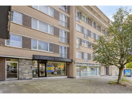 commercieel te koop in ganshoren