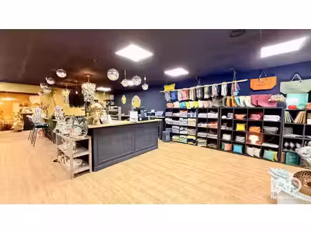 vente boutique/local commercial 350 m²