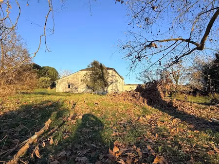 vente maison 15 pièces 300 m² à civrac-de-blaye (33920)  325 500 €