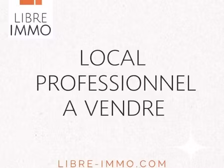 plaine de nay - local commercial / professionnel 900m².