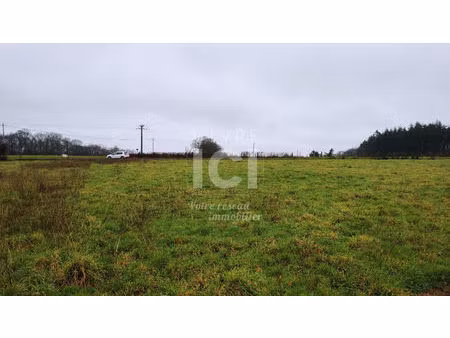 achat terrain 1 292m²