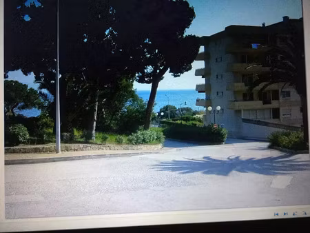 location appartement 2 pièces 45 m² à ajaccio (20000)