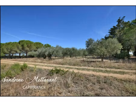 vente maison 9730 m² saint-thibéry (34630)