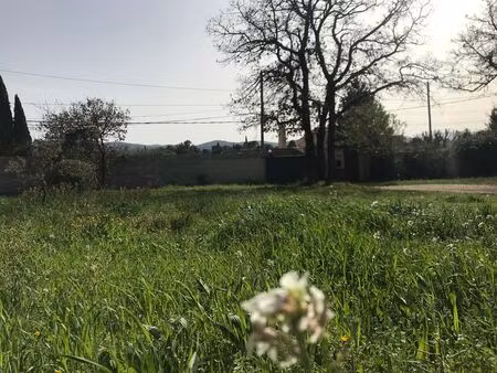 vente terrain à construire 750 m² garéoult (83136)