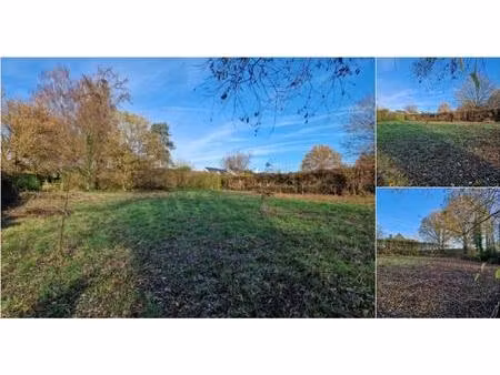 terrain à bâtir à vendre de 1747 m² à lasne (vbd78961)