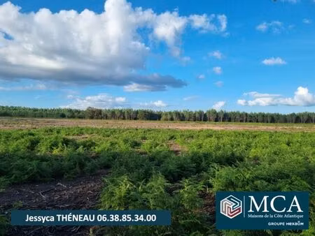 vente terrain 736 m² laluque (40465)