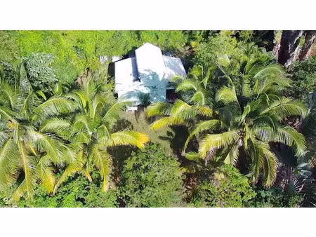 vente maison 4 pièces 67 m² à riviere salee (97215)  479 000 €