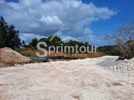 - baie-mahault lotissement résidentiel de 12 parcelles  «
