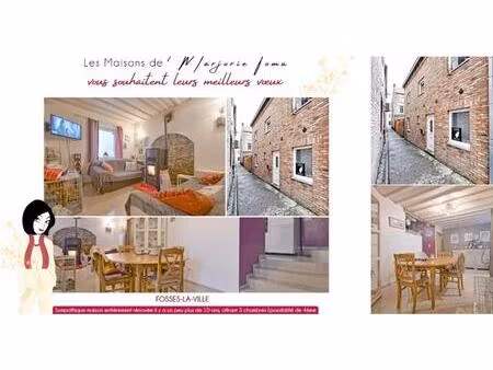 maison à vendre à rue du ministre 2 fosses-la-ville (vbd79292)