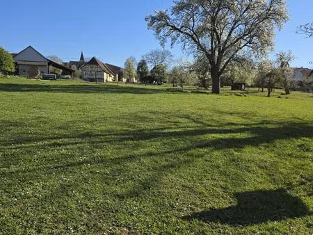 eschentzwiller  terrain à bâtir 5.71 ares.