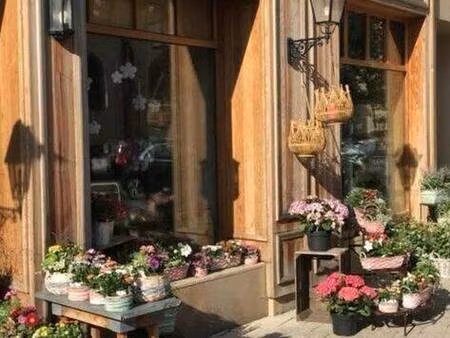 nappi silvestro - lf immo by lf