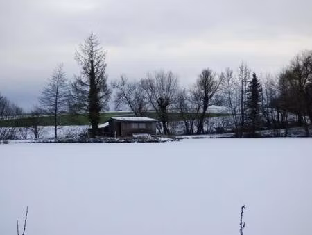 safti guallar alexandra conseiller indépendant