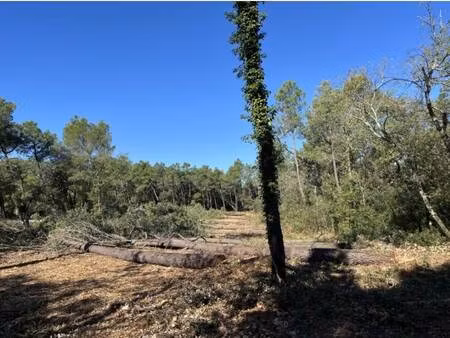 terrain constructible viabilisé à vendre