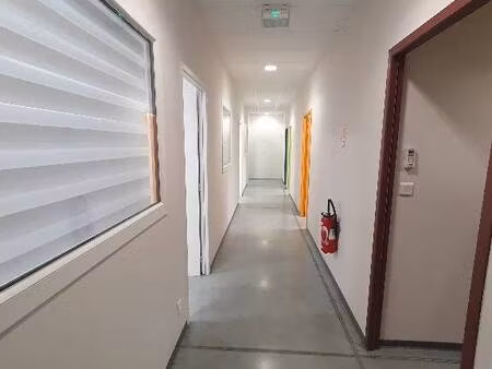 immobilière les allées