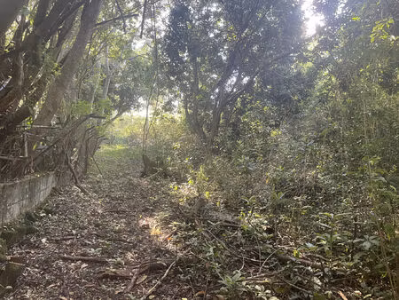 vente terrain 1669 m² le tampon (97430)