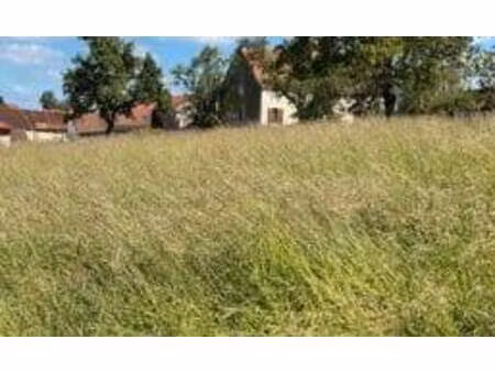 terrain constructible viabilisé à vendre