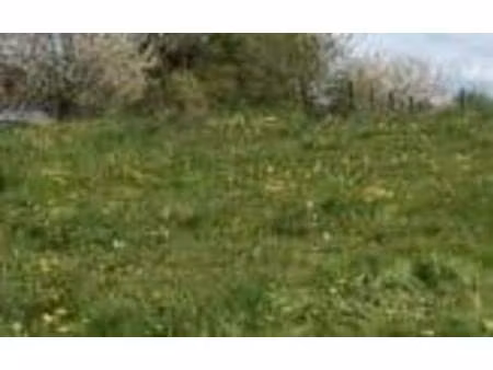 terrain constructible à vendre