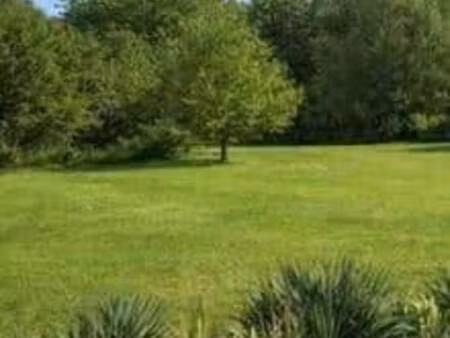 terrain constructible viabilisé à vendre