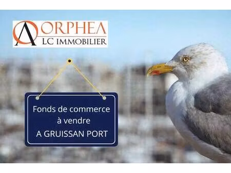 orphea lc immobilier - narbonne