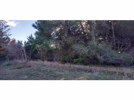 terrain constructible viabilisé à vendre