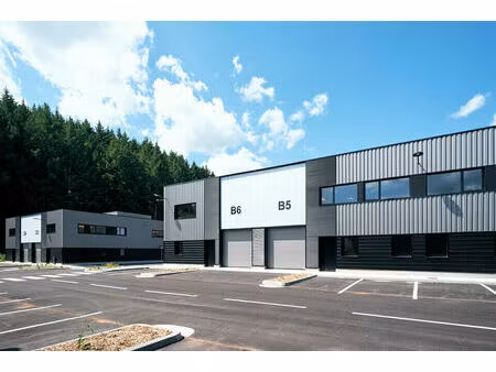 location commerce 2636 m² à tarare (69170)