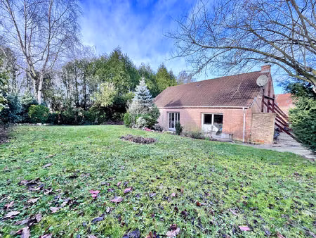 vente terrain 913 m² bailleul (59270)