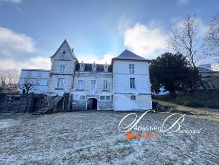 château à vendre