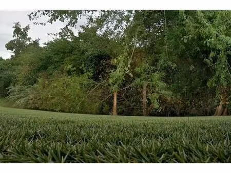 terrain constructible à vendre