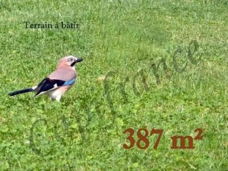 terrain à vendre de 387 00 m² betheniville (51)