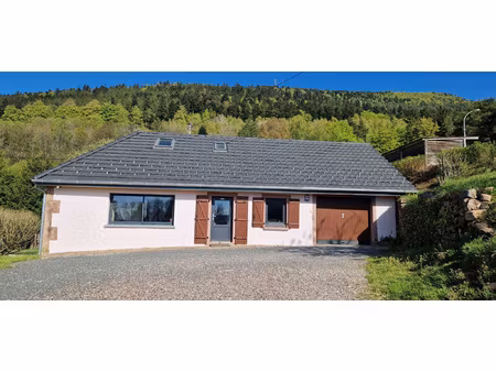 plaine  magnifique maison rénovée au charme d'antan  17.55 a
