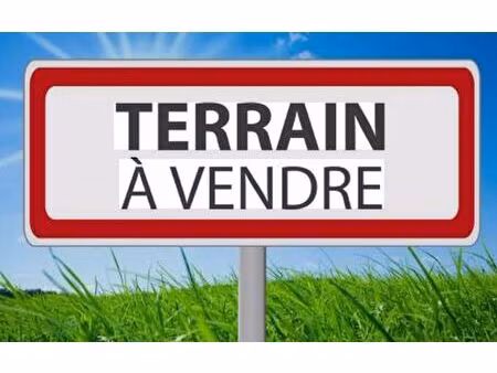 terrain la salvetat-saint-gilles m² t- à vendre  238 500 €