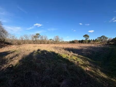 terrain à vendre
