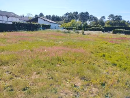 terrain constructible viabilisé à vendre