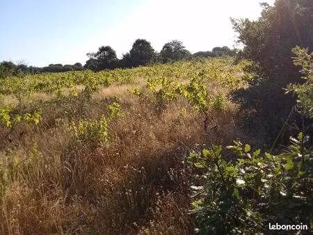 vends terrain agricole