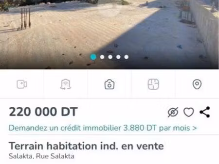 terrain salakta plage tunisie