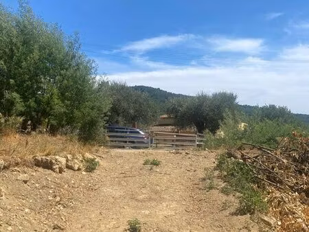 terrain constructible