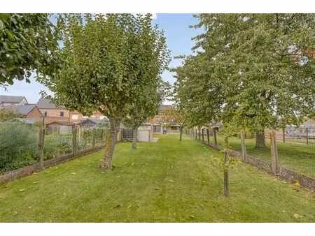 sspacieuse maison avec jardin orienté sud-est à merchtem
