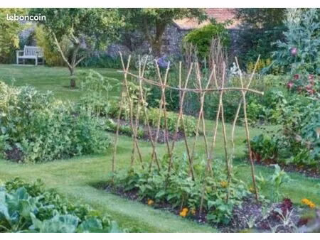 parcelles de potager à louer
