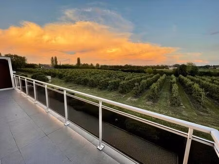 appartement à louer à tienen € 850 (lk6xd) - century 21 immo k | zimmo