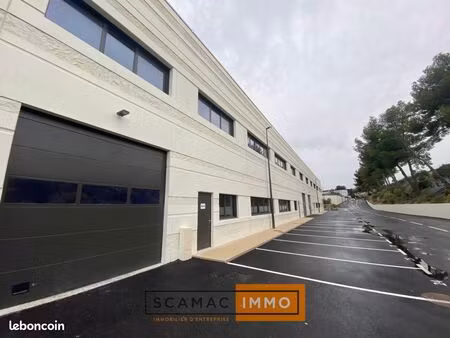 local d'activité 300 m²