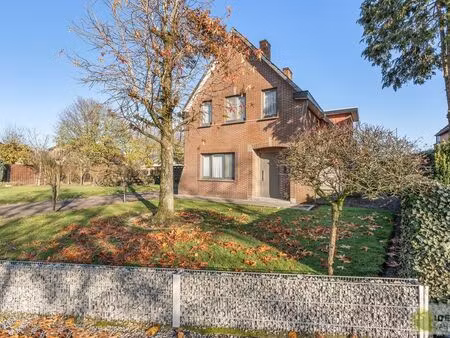 maison à vendre à peer € 249.000 (lk6jm) - idealis vastgoed | zimmo
