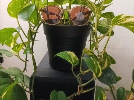 recherche logement 4 chambres