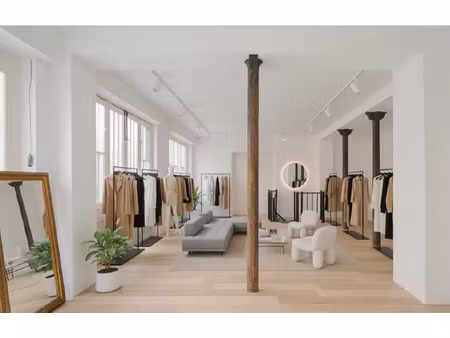 paris 4e - beautreillis - boutique à vendre - 165 19m²
