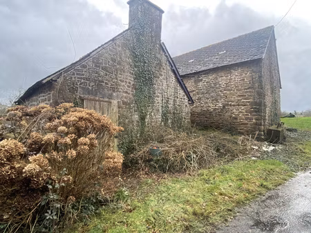 hangar à rénover de 91m2 avec une dépendance