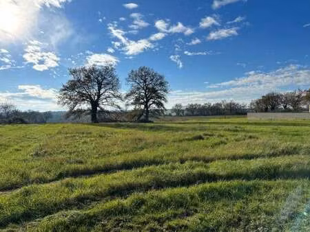 vente terrain au loroux-bottereau (44430) : à vendre / 327m² le loroux-bottereau