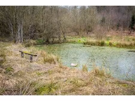 terrain forestier avec étang