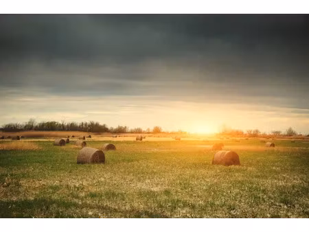 vente terrain 2800 m² à annesse-et-beaulieu (24430)  33 000 €