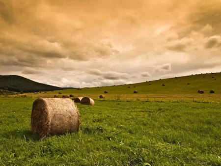 vente terrain 884 m² à grignols (24110)  25 000 €