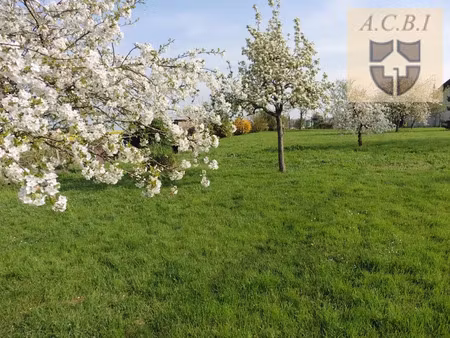 vente terrain 1200 m² à vendome (41100)  24 800 €