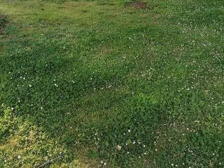 vente terrain à baud (56150) : à vendre / baud